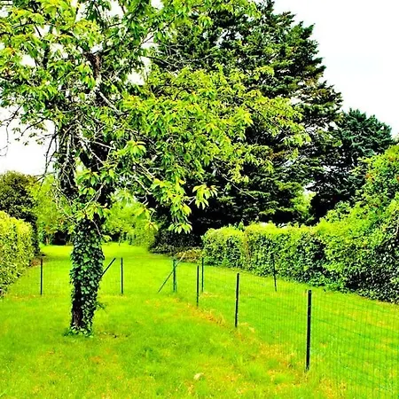 Appart' - Jardin & Terrasse - Quartier St Anne